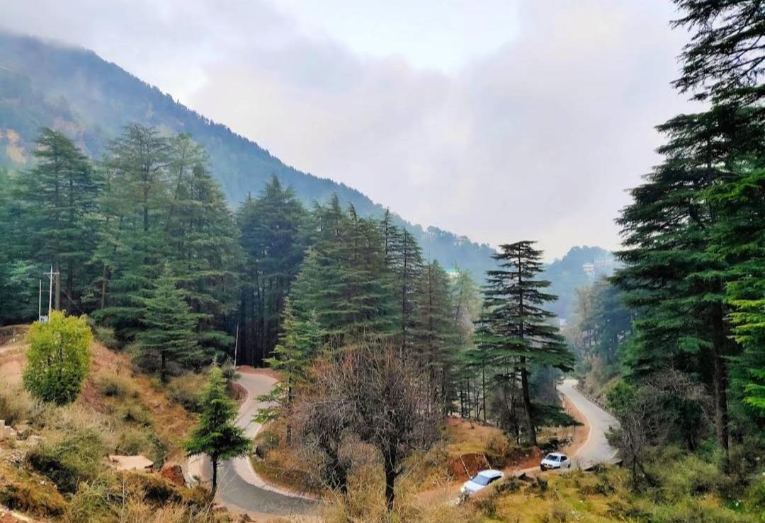 The Lake Cottage By Vrb Hotels Mcleodganj Дхарамсала Екстериор снимка